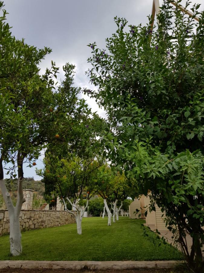 Το Είδωλον Lägenhet Epidaurus Exteriör bild